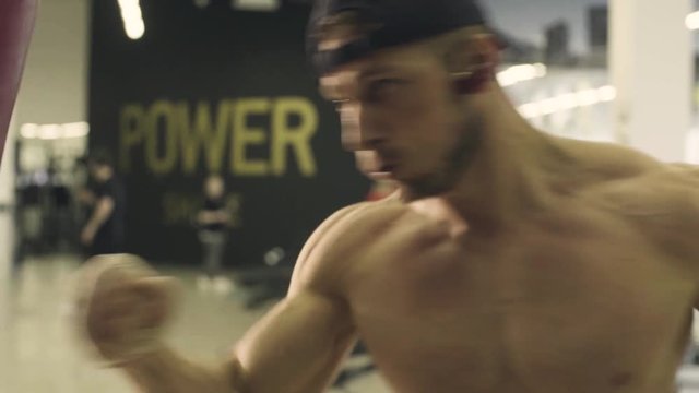 Boxer training punching bag