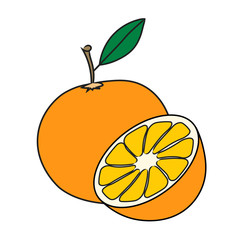 Orange fruit. Large isolated on white vector cartoon picture for children education and preschool books.