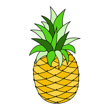 Pineapple fruit. Large isolated on white cartoon vector picture for children education and preschool books.