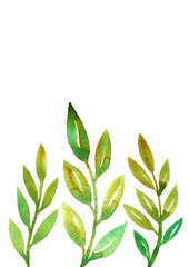 Fototapeta premium frame with watercolor doodle twigs with leaves