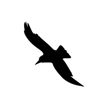 recommend clip art: The crow icon. Bird and flight, eagle symbol. Flat Vector illustration