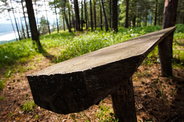 Wooden bench with blurred green forest in the background. Shallow focus.