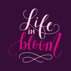 Vector lettering summer card. Handdrawn positive unique calligraphy.