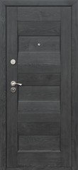 Fototapeta premium Entrance door (metal door)