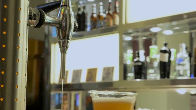 Barman serving a beer at the bar, at a theater