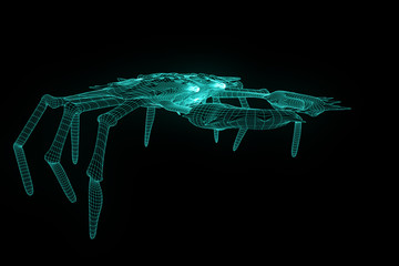 Cancer Crab in Hologram Wireframe Style. Nice 3D Rendering
