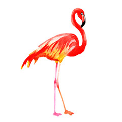 Sky bird flamingo in a wildlife by watercolor style isolated. Wild freedom, bird with a flying wings. Aquarelle bird for background, texture, pattern, frame, border or tattoo.