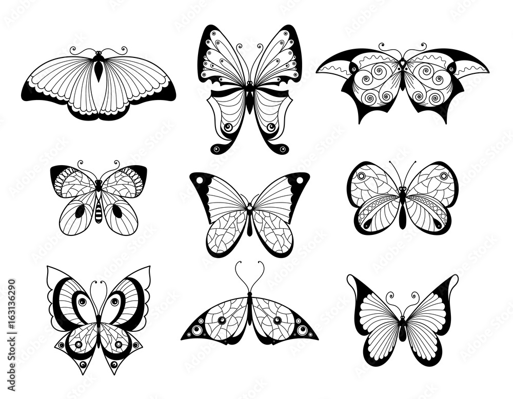 Poster set of different butterflies and bugs with beautiful patterns on wings. hand drawn vector illustrati