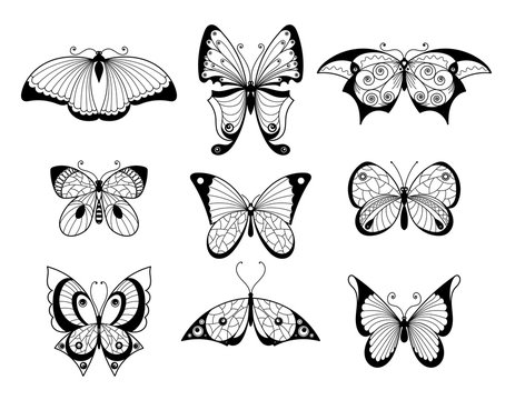 Set of different butterflies and bugs with beautiful patterns on wings. Hand drawn vector illustrations
