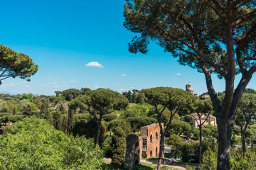 Ancient Roman remains among trees