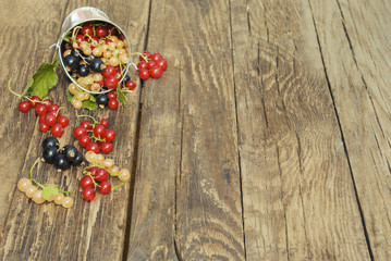 Black, red and white currant berries in metal mini bucket on a wooden background.