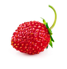 Berry wild strawberry with green leaf healthy food fresh fruit. © Yasonya