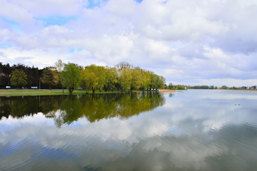 Fototapeta na wymiar Jezioro i las na tle zachmurzonego nieba