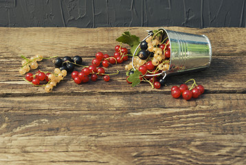Black, red and white currant berries in metal mini bucket on a wooden background.