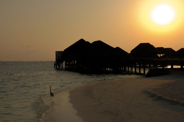 Sunset and water bungalows, abstract vacation background. Image has grain or blurry or noise and soft focus when view at full resolution. (Shallow DOF, slight motion blur)