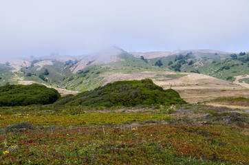 Bodega Bay is a shallow rocky inlet on the California coast sandwiched between Sonoma County and Marin County