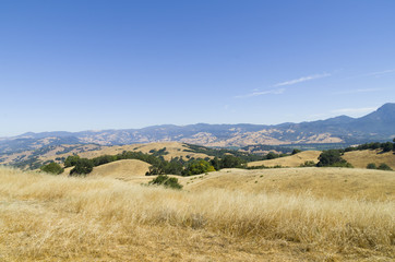 Pepperwood Preserve is a 3117 acre conservation area and nature preserve.
