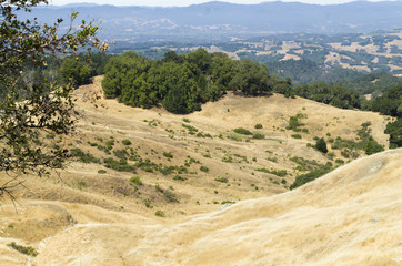 Pepperwood Preserve is a 3117 acre conservation area and nature preserve.