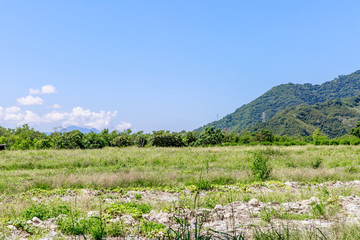 Trees and roads in Chishang,Taitung,Taiwan