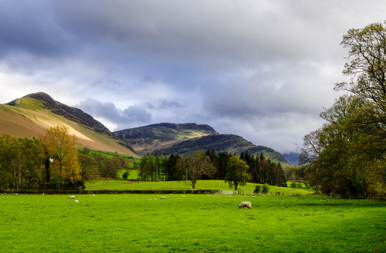Countryside in Lake District