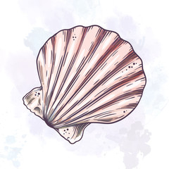 Cartoon seashell illustration.