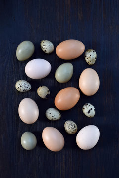 Set of different types birds eggs from chicken, pheasant and quail on a dark background.