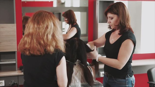 Adult hairdressers separate the hair into strands in order to make the coloring, the client of the beauty salon came to the hairdresser to change the image