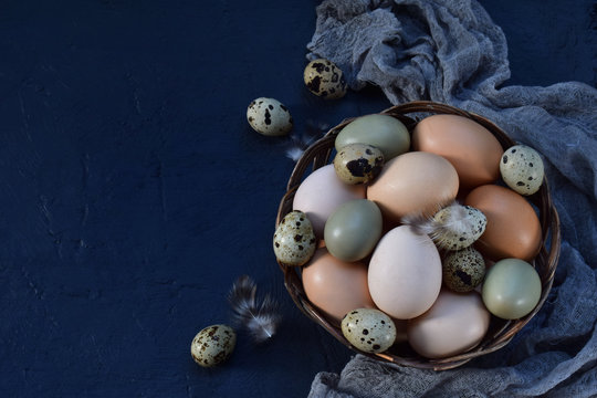Set of different types birds eggs from chicken, pheasant and quail with feathers on a dark background.