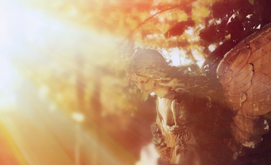 golden angel in the sunlight (antique statue)