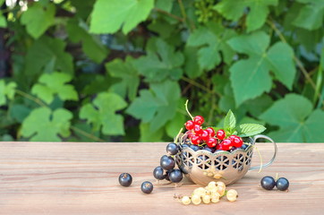 red, black, white currant in the German silver mug on the table, on the background of grape leaves