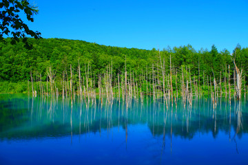 famous beautiful hokkaido blue pond