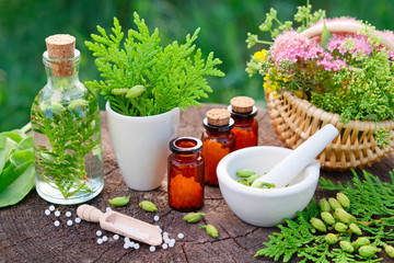 Bottles of homeopathic globules. Thuja, Plantain, healthy infusion, mortar and basket of herbs....