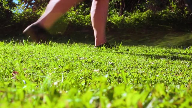 Cut the grass with lawnmowers 2