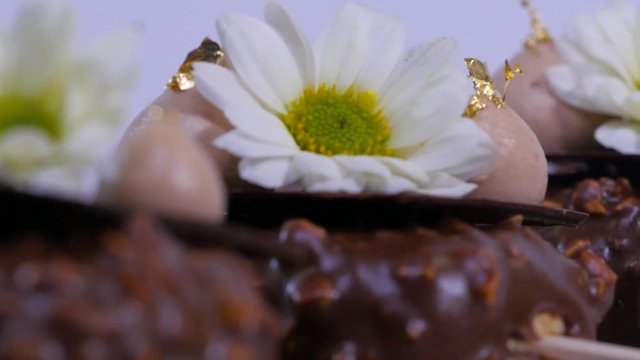 Fowers and cream on the ice cream closeup. Chocolate ice cream on a stick. Chocolate ice cream on a stick decorated with flowers