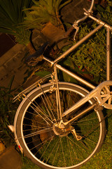 Fototapeta na wymiar .Bicycle parked in backyard