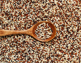 Uncooked mixed quinoa grain