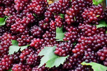 Grape fruit for background