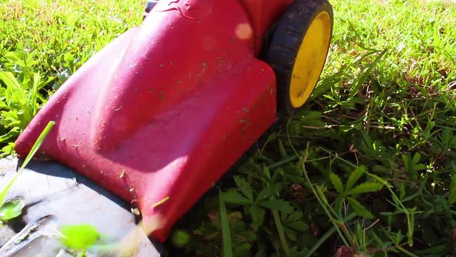 Cut the grass