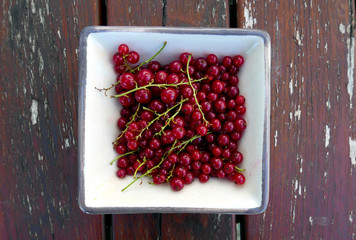 Redcurrants in Bowl