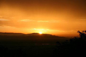 African savannah summer pictrures wild safari Tanzania Rwanda Botswana Kenya