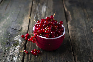 Fresh red currants in bowl