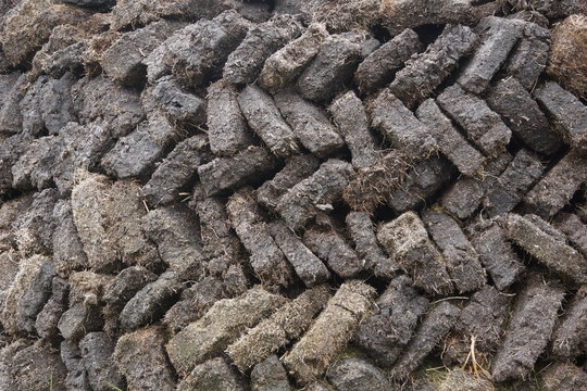 getrocknete Torfziegel