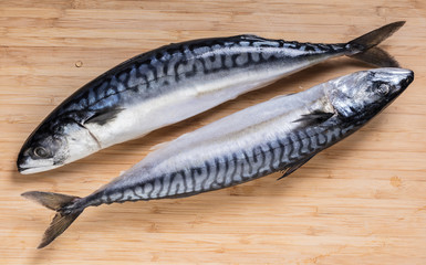 Two raw mackerel fish