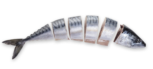 Raw sliced mackerel fish - obrazy, fototapety, plakaty