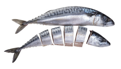 Raw mackerel fish
