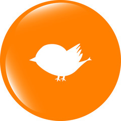 Glossy isolated website and internet web icon with bird symbol