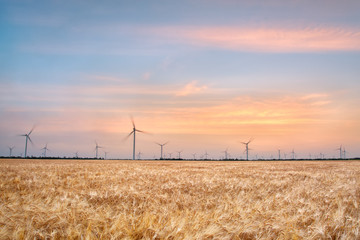 Wind generators in a wheat field