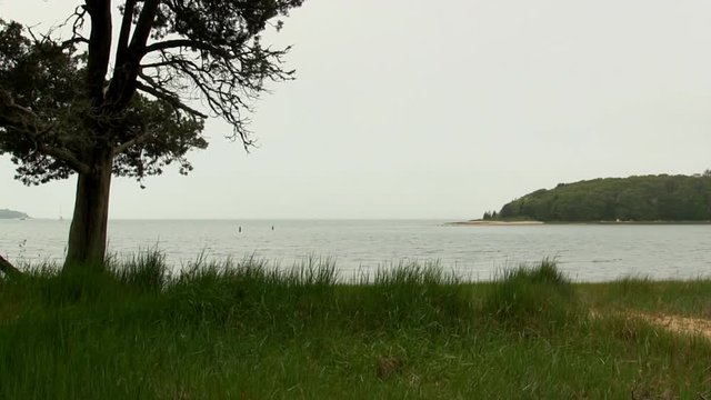 View of Toby's island and buzzards bay from grassy shoreline of Bennets Neck Pocasset Bourne Cape Cod 