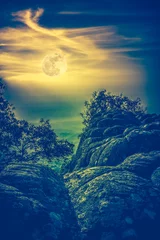 Fototapeten Landscape of night sky with full moon,  serenity nature background. Cross process. © kdshutterman