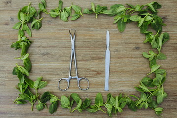 Surgical instruments in rectangle shape frame of wild edible green leaves on wooden background. Care for your health, healthy lifestyle, eating healthy food, bad habits, disease concept concern